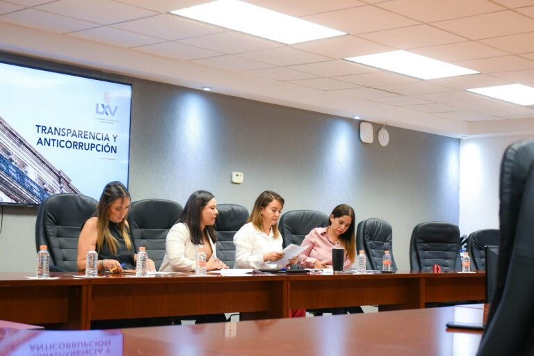 Proponen nuevos requisitos de elegibilidad en el Código Electoral