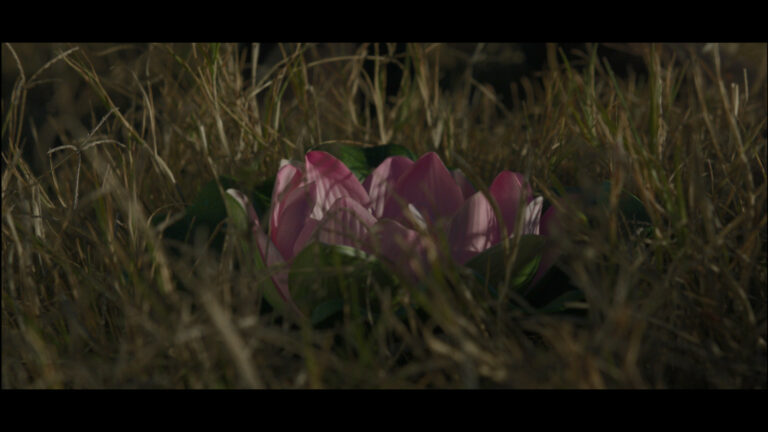 Presentan el cortometraje “La flor que creció en otoño”