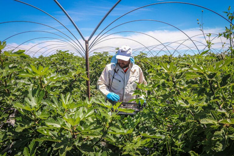 Gobierno del Estado de Aguascalientes impulsa el Programa de Reconversión Productiva 