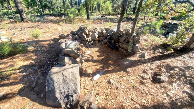 Se detectan campamentos de bandas del crimen organizado cercanos al estado de Aguascalientes