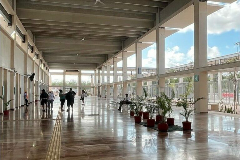 Un Tren Maya sin mayas; pobladores prefieren autobuses y vans