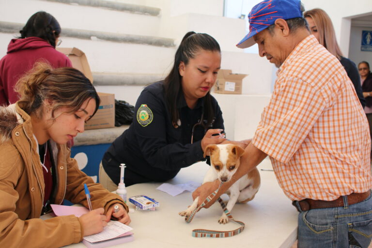 Este viernes, servicios veterinarios gratuitos en La Escondida, San Pancho