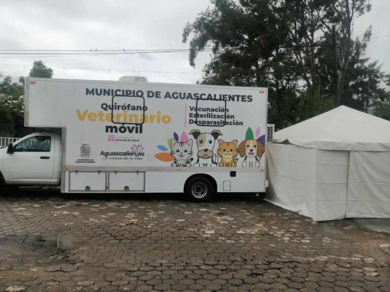 Ayuntamiento llevará a cabo nueva campaña de esterilización canina y felina