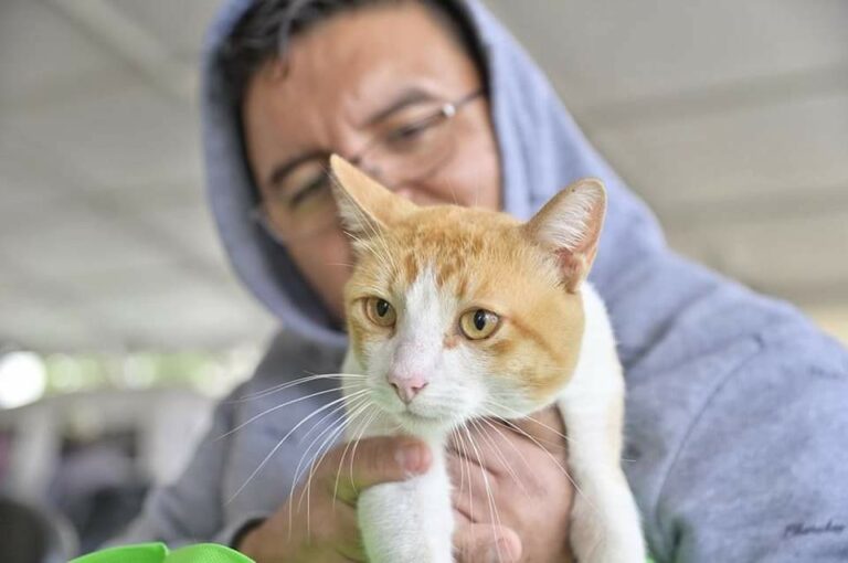 Jesús maría impulsa la tenencia responsable de mascotas