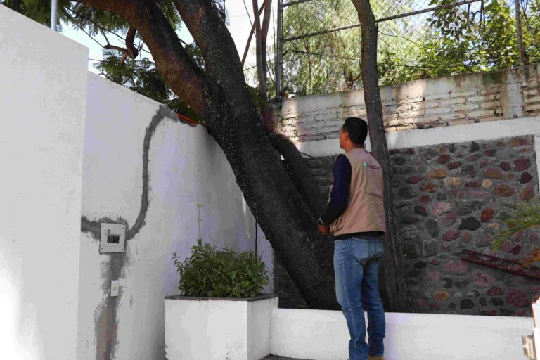 Municipio fortalece la campaña “El Árbol de mi Casa”