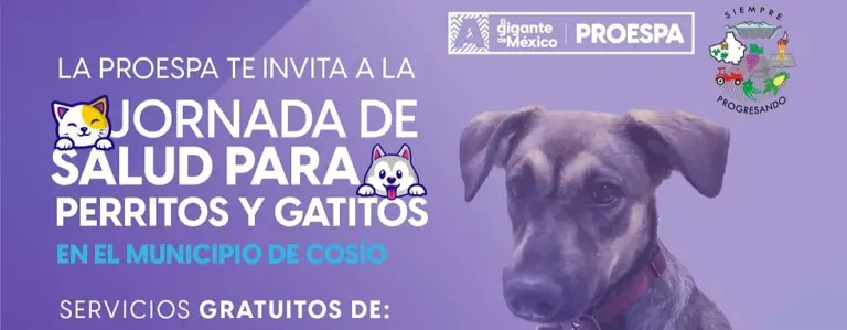 Este viernes llegan servicios veterinarios gratuitos a Cosío