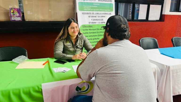 “Brigada de Empleo” este miércoles en la Delegación Morelos