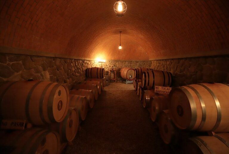 Aguascalientes cuenta con más de 200 marcas de Vino