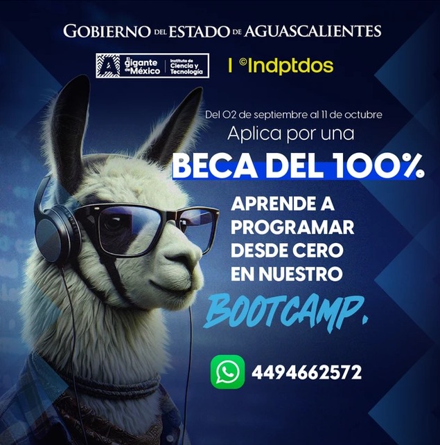 INCYTEA invita a programa de capacitación en desarrollo web