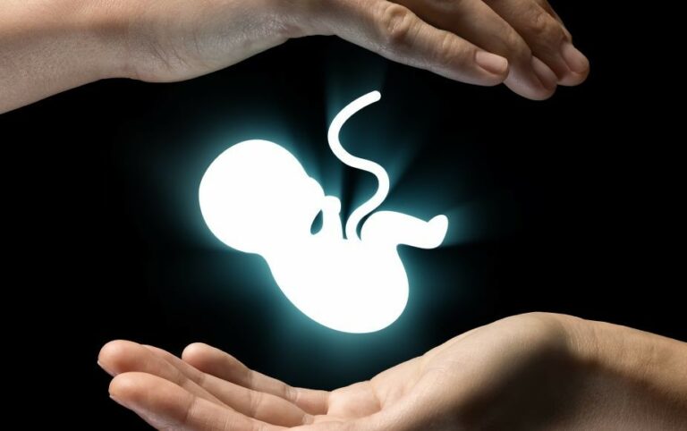 Fue publicada la Ley de Protección a la Vida en el POE de Aguascalientes