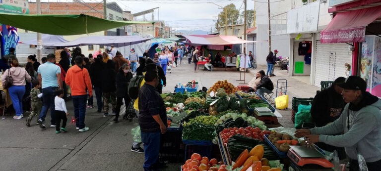 Más de 15 mil familias de Aguascalientes dependen del comercio en tianguis y mercados