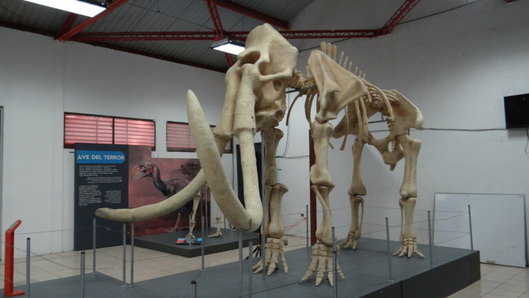 Un museo científico en El Llano | Imágenes de Aguascalientes por Carlos Reyes Sahagún