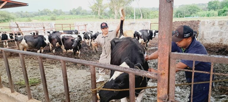 Inicia la segunda etapa de la Clínica Veterinaria Ambulatoria 2024