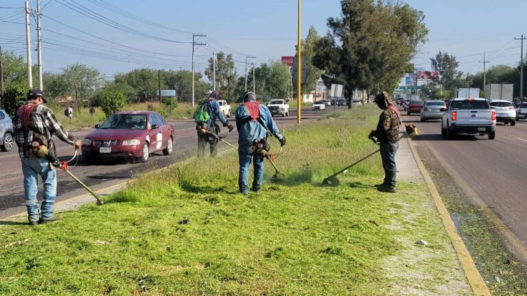 Intensifica municipio trabajos de poda, desmalezado y retiro de ramas