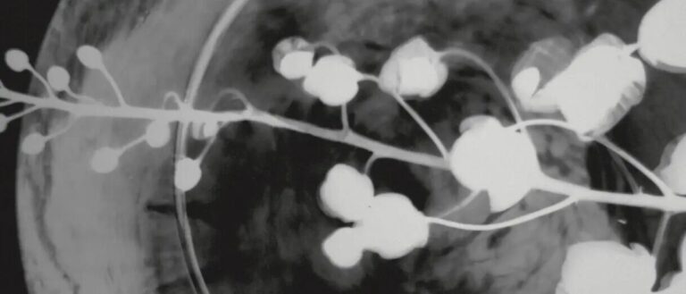 Cyntia Sánchez, fotógrafa aguascalentense