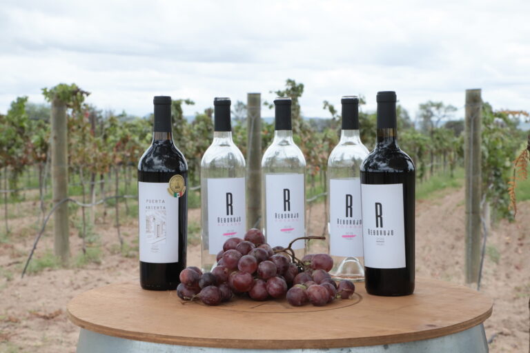 El orgullo de una tierra vinícola: de Aguascalientes para el mundo