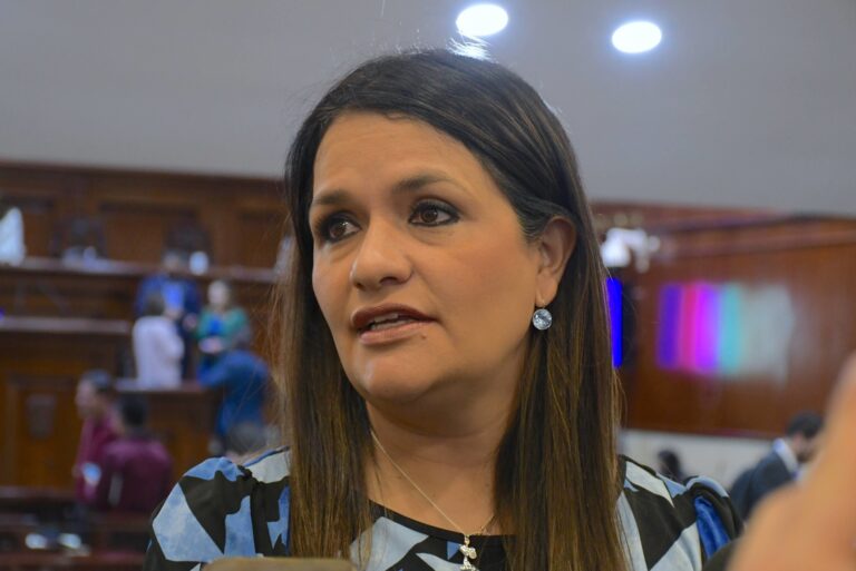 Se alistan las comparecencias en el Congreso del Estado