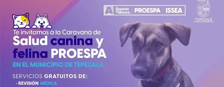 Llegan servicios veterinarios gratuitos a los Alamitos en Tepezalá