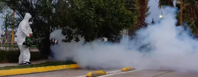 Siguen las acciones para prevenir el dengue