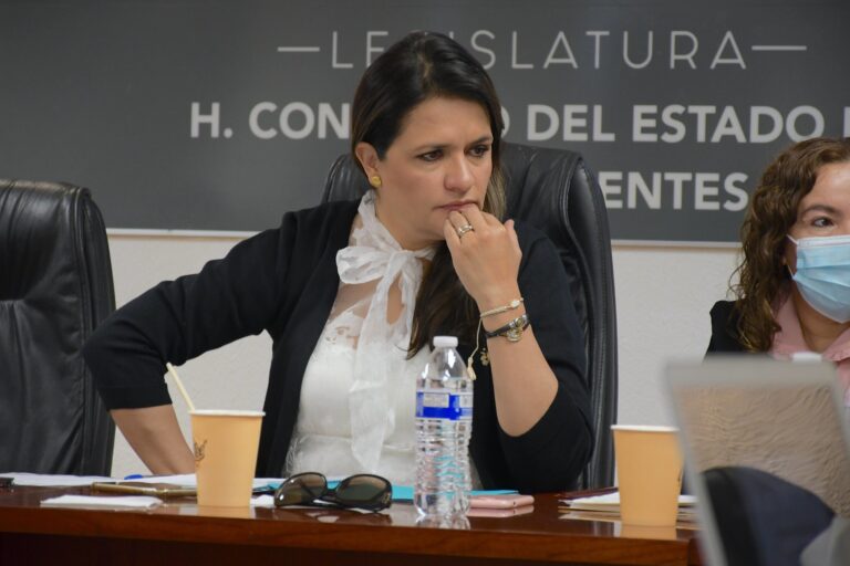 JUCOPO funciona a pesar de pleitos internos de morenistas