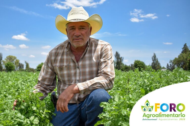 Urgen estrategias de apoyo al campo a nivel federal: la SADER se ha convertido en oficina de trámite