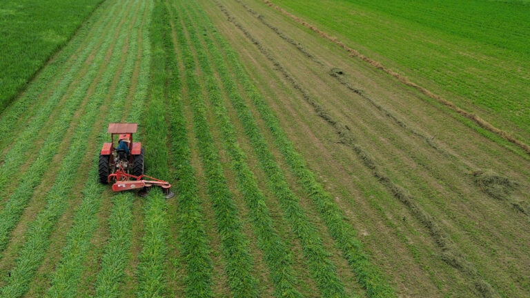 El campo mexicano debe enfrentar los desafíos del cambio climático con innovación: Julio Berdegué