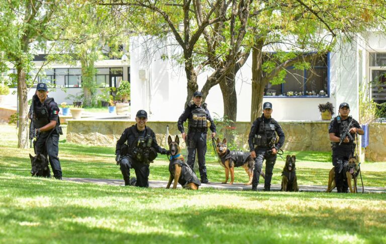 Grupo K9 de Aguascalientes se especializa en Estados Unidos 