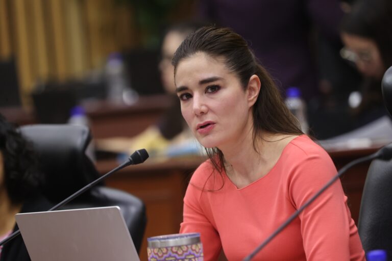 Dania Ravel dice que se debe recibir primero la notificación del TEPJF sobre elecciones del PJF