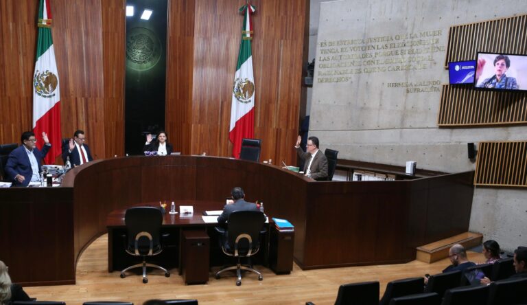 Por diversas infracciones, TEPJF revocó la sentencia contra María Lilly Téllez