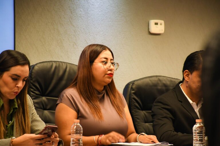 Comisión de Juventud aprobó su Plan Anual de Trabajo