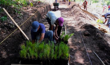 CONAFOR impulsa el liderazgo de mujeres en el sector forestal
