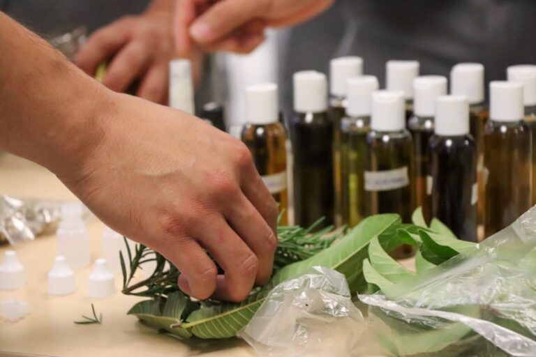 Municipio abre convocatoria para taller gratuito de farmacia viviente