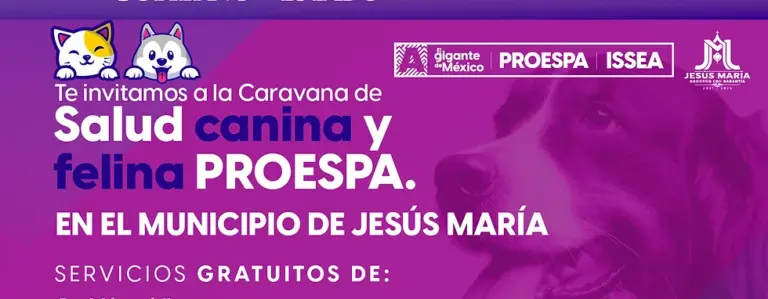 Este viernes, servicios veterinarios gratuitos en Margaritas, Jesús María