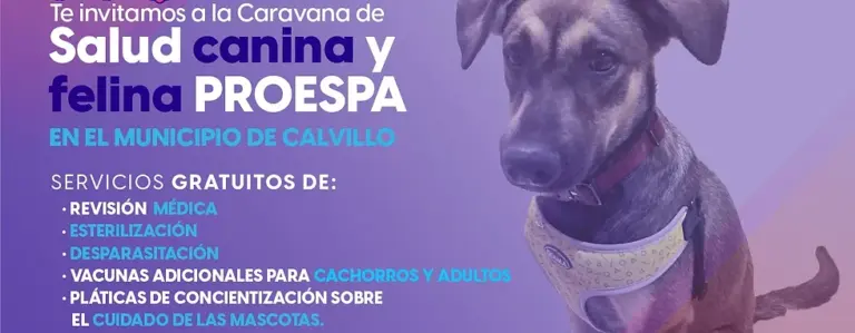 Atención veterinaria gratuita este 15 de noviembre en Calvillo