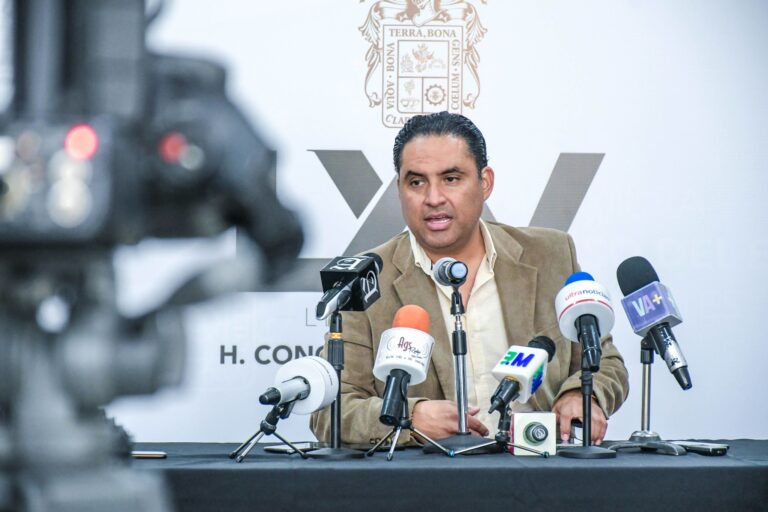 Emanuelle Sánchez Nájera reflexionó sobre el futuro del PRD en el estado