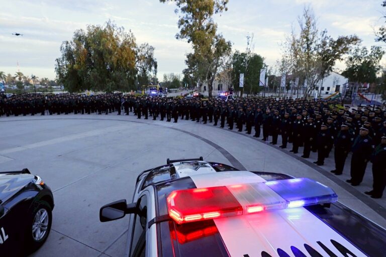 Los menores se encuentran a merced de la delincuencia organizada