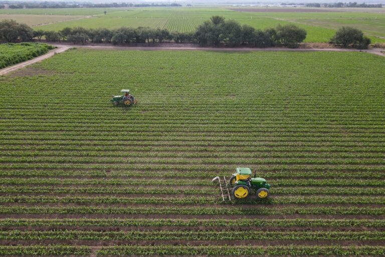 Agroindustria se fortalecerá en Aguascalientes