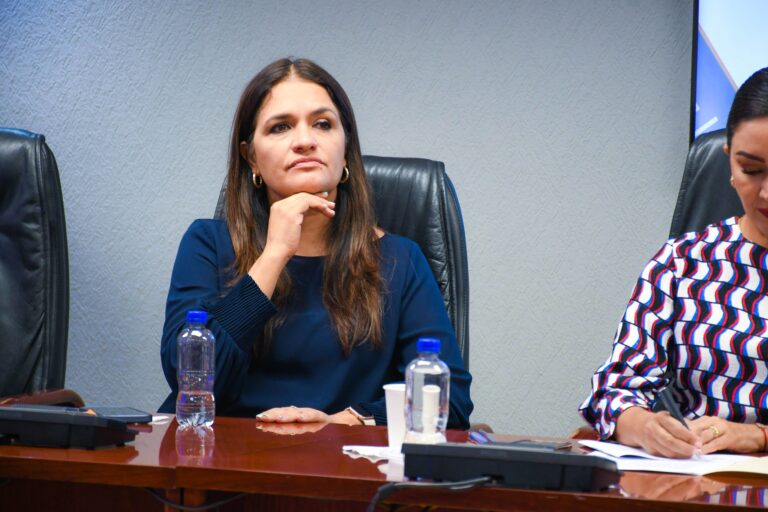 Acción Nacional deberá de ser una oposición responsable: Alma Hilda Medina