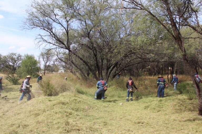 Realizan megaoperativo de limpieza en La Pona