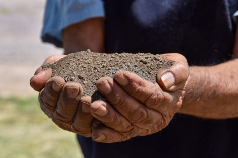 Abierta la convocatoria para beneficiar a productores agrícolas