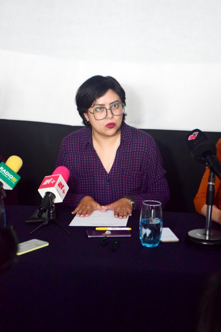 El Observatorio de Violencia Social y de Género activó una la Alerta de Violencia de Género