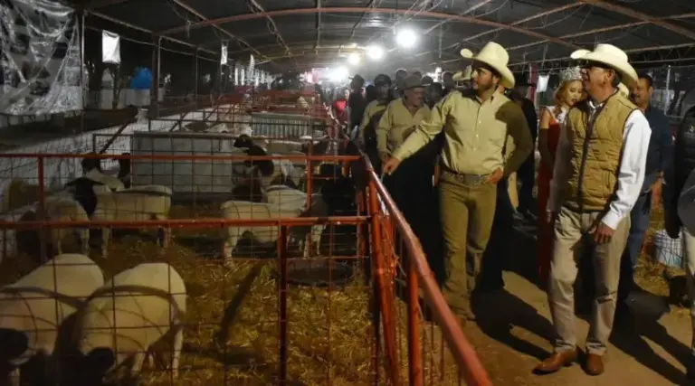 SEDRAE apoya con la adquisición de ganado de calidad en la Feria de Pabellón