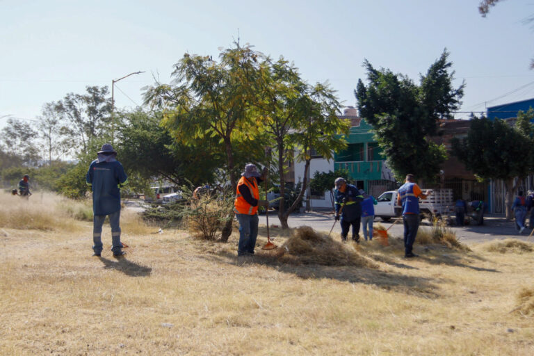 Municipio realiza brigada de limpieza en el fraccionamiento Gómez Portugal
