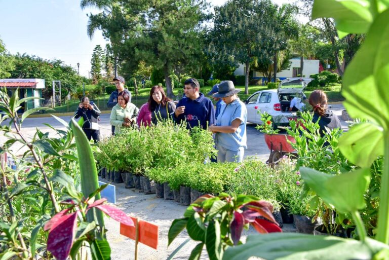 Municipio cierra con éxito programa anual de Donación de Árboles y Plantas 2024