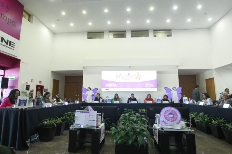 INE convoca a implementar metodología de análisis de la violencia digital