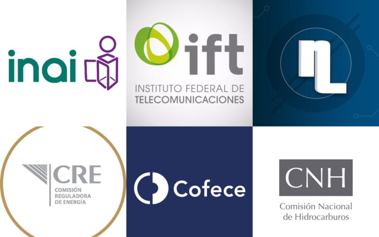 Órganos autónomos, años de lucha ciudadana a punto de desaparecer