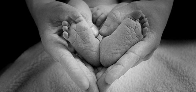 Proponen que sea obligación del Estado de Aguascalientes brindar protección integral a la maternidad