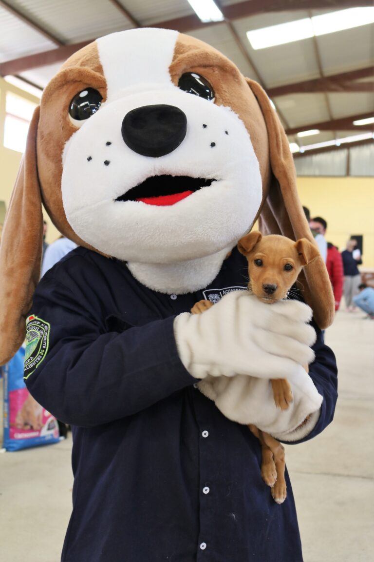 Servicios veterinarios gratuitos en la comunidad Guadalupe de Atlas, Asientos, este 29 de noviembre