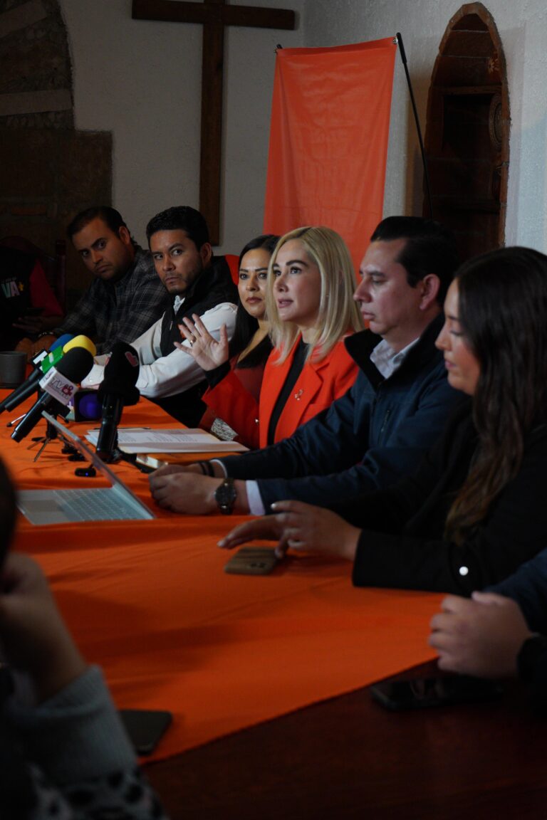 Ni Morena ni PAN: Movimiento Ciudadano