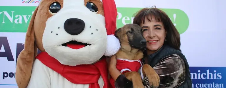 La Navidad llegó a albergues de perritos y gatitos